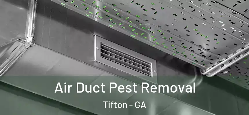  Air Duct Pest Removal Tifton - GA