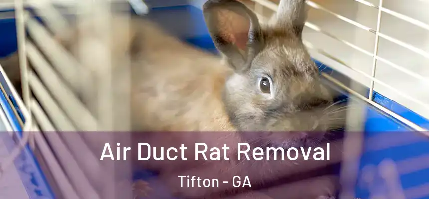  Air Duct Rat Removal Tifton - GA