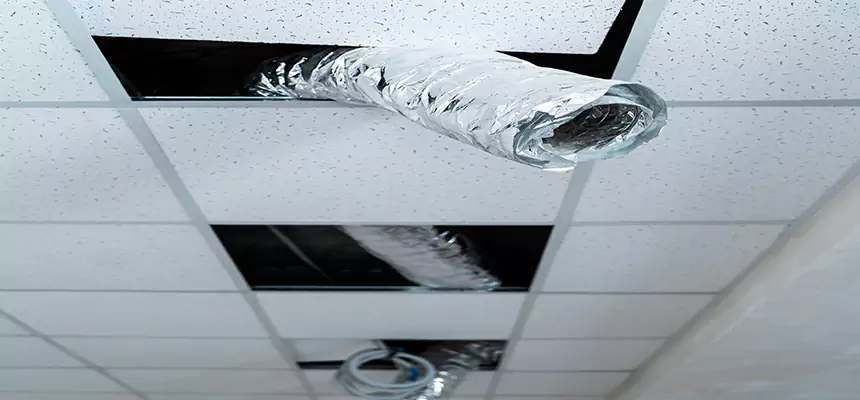 Affordable HVAC Sanitizing After Pest Removal in Tifton