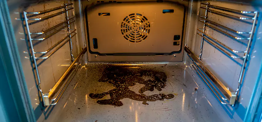 Our Dryer Vent Mold Cleaning Services in Tifton, GA