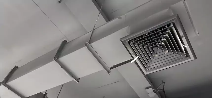 Our Rodent Droppings In Vents Services in Tifton, GA