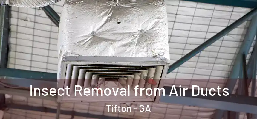  Insect Removal from Air Ducts Tifton - GA