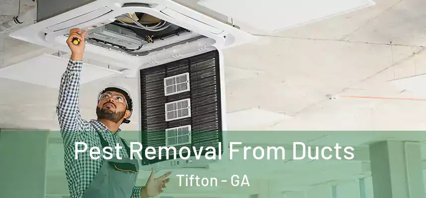  Pest Removal From Ducts Tifton - GA