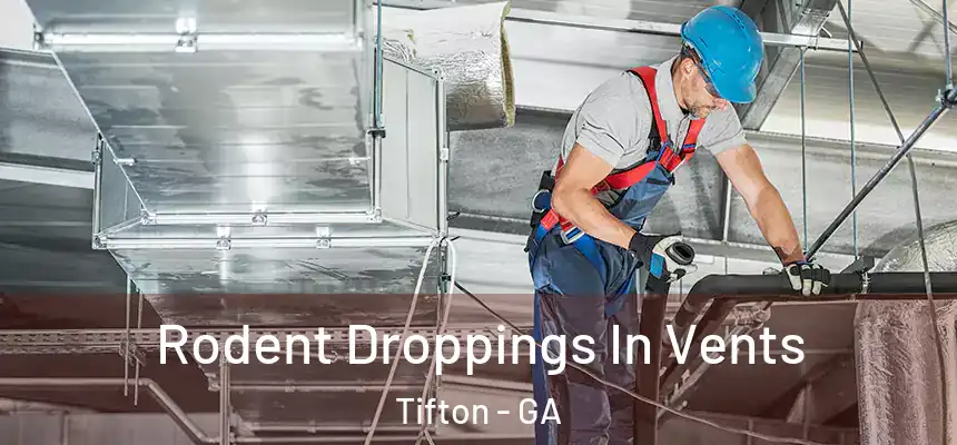  Rodent Droppings In Vents Tifton - GA