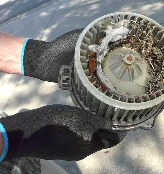 About Air Duct Rat Removal in Tifton, GA