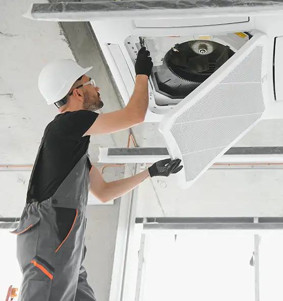 About Air Duct Rodent Removal in Tifton, GA