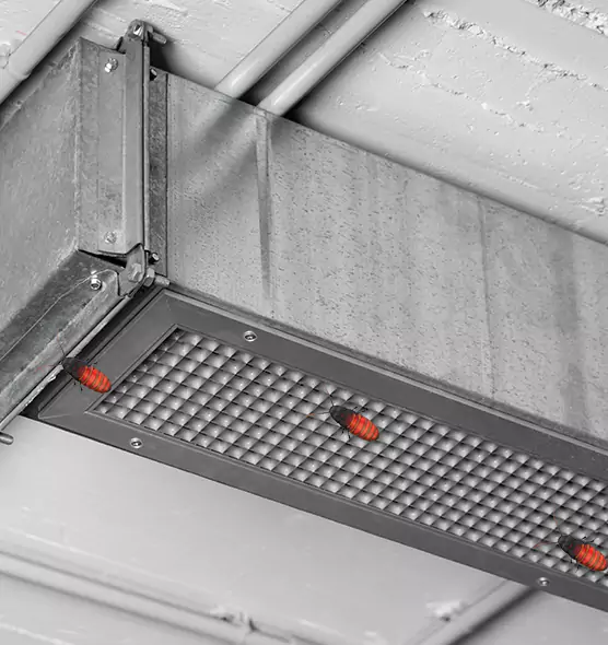 Affordable Insect Removal from Air Ducts in Tifton, GA