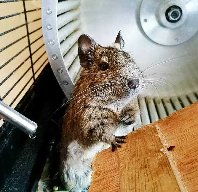 Why Homeowners & Businesses Trust Us Tifton, GA