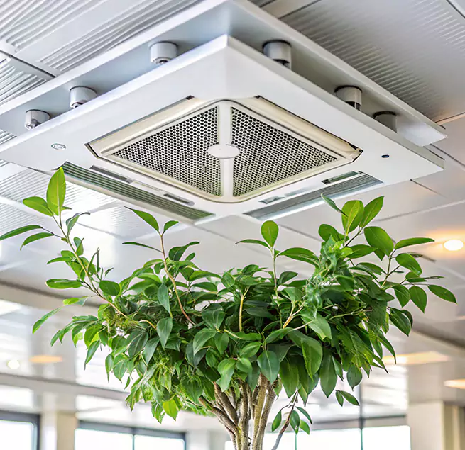 Why Homeowners & Businesses Trust Us in Tifton, GA