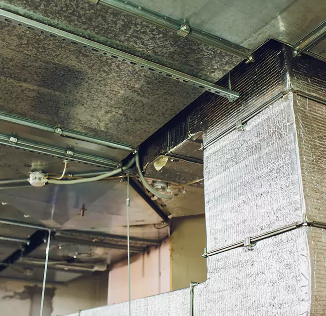 Why Homeowners & Businesses Trust Us in Tifton, GA?